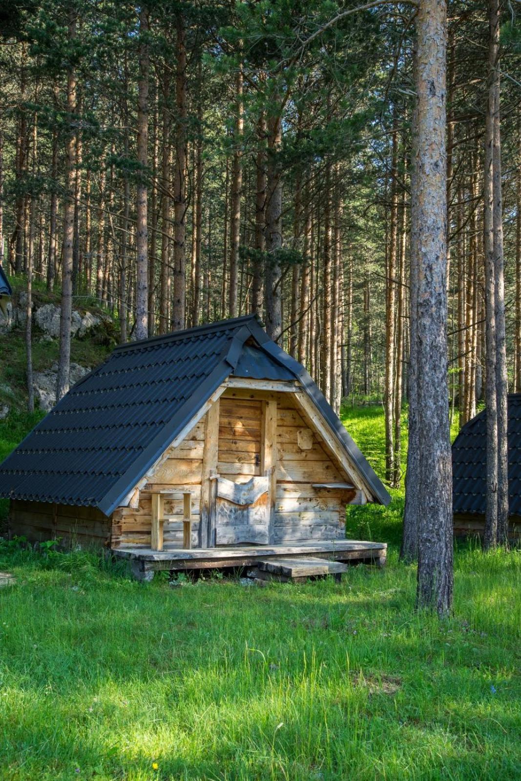 Eco Camp Chalets Pod Gorom Žabljak Exteriér fotografie